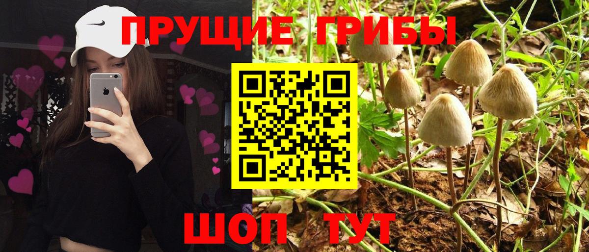 Галлюциногенные грибы MAGIC MUSHROOMS Северобайкальск
