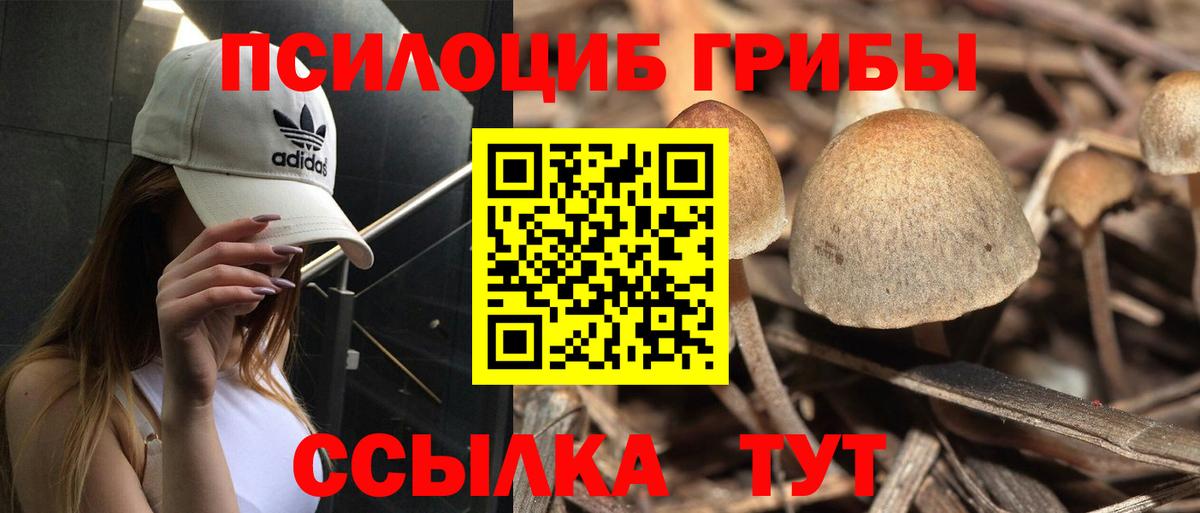 Галлюциногенные грибы Cubensis  Вход с VPN  Северобайкальск 